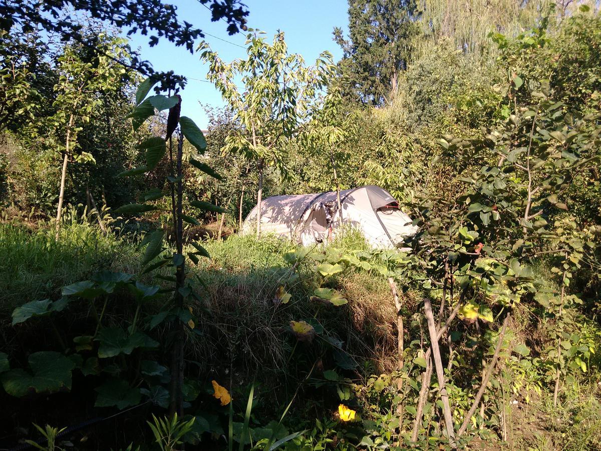 Camping Late Hotel Gjirokastër Exterior foto